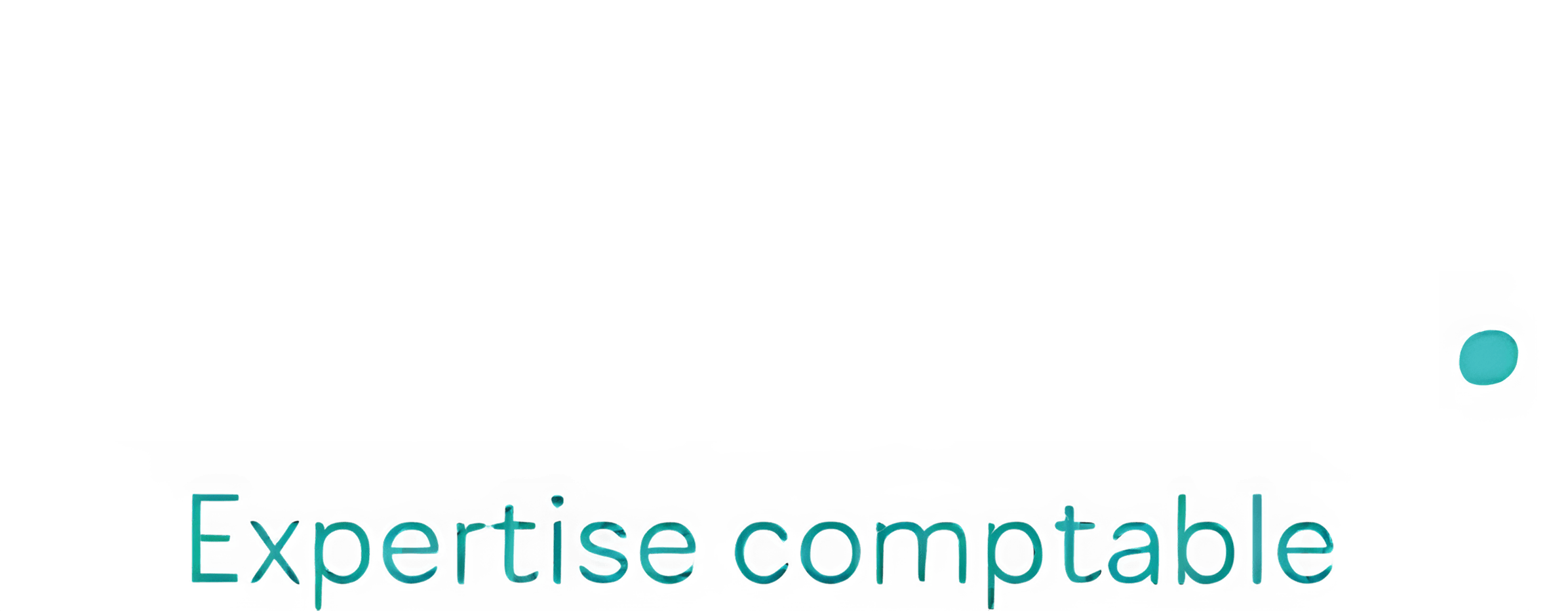 GLOBAL. Expertise Comptable